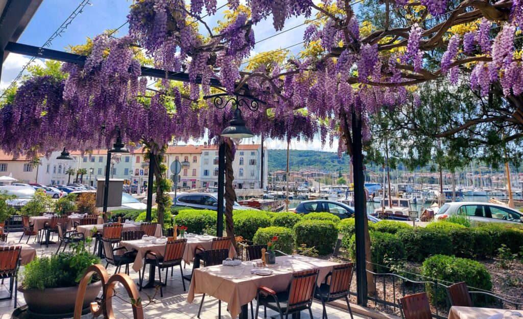 MICHELIN Guide Slovenia - Marina Restaurant, Izola, Slovenia