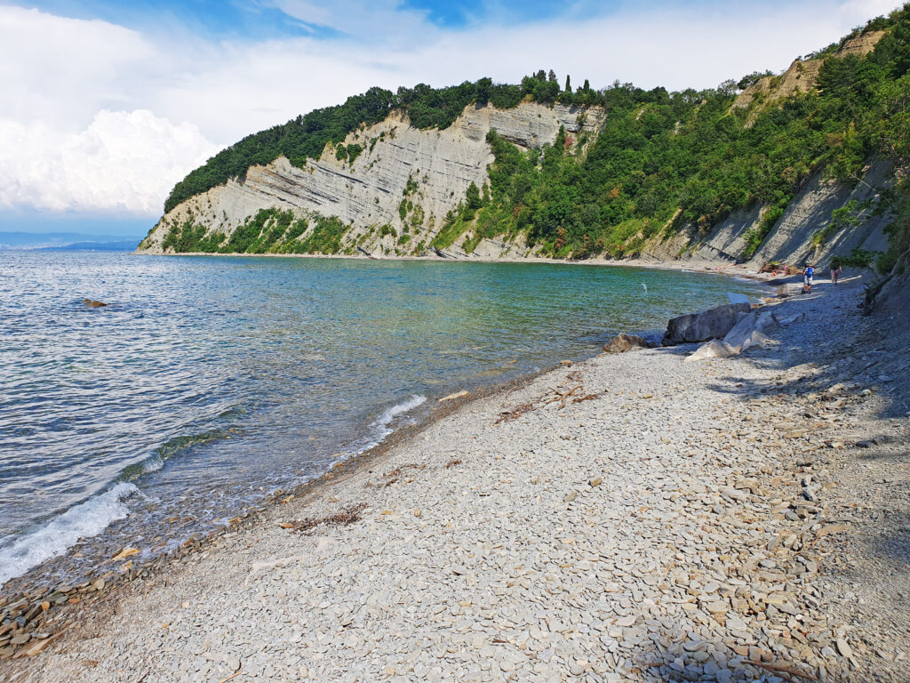 Parks in the Coastal Region - Moon Bay