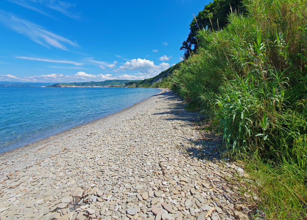 Bele Skale Beach, Strunjan beach, Beaches in Izola, Slovenia