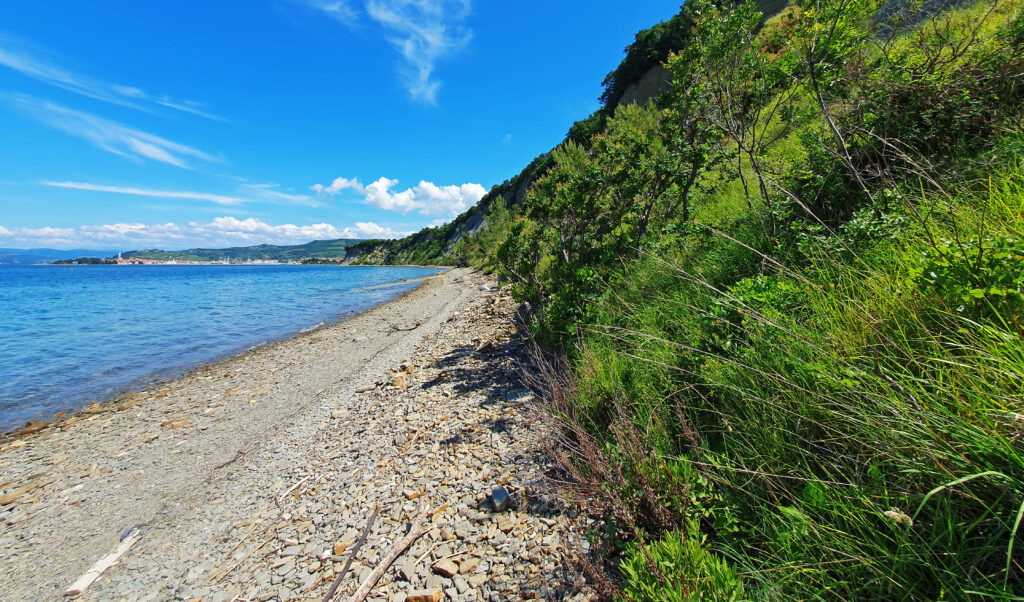 Bele Skale Beach, Strunjan beach, Beaches in Izola, Slovenia