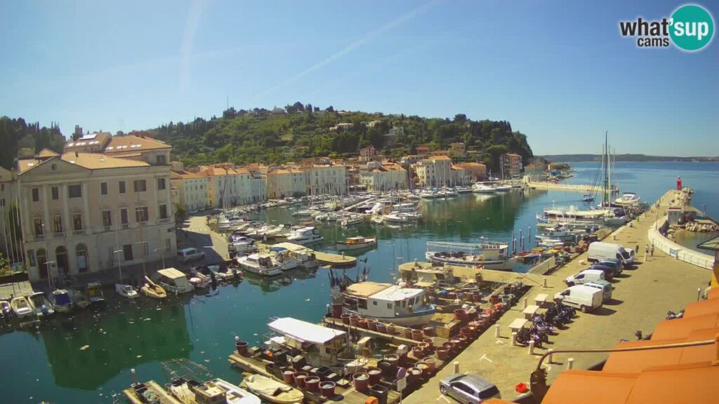Live Webcam of the Piran
