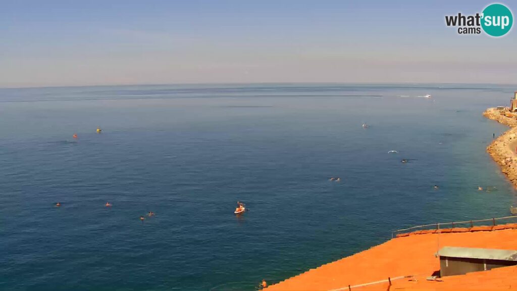 Live Webcam of the Piran