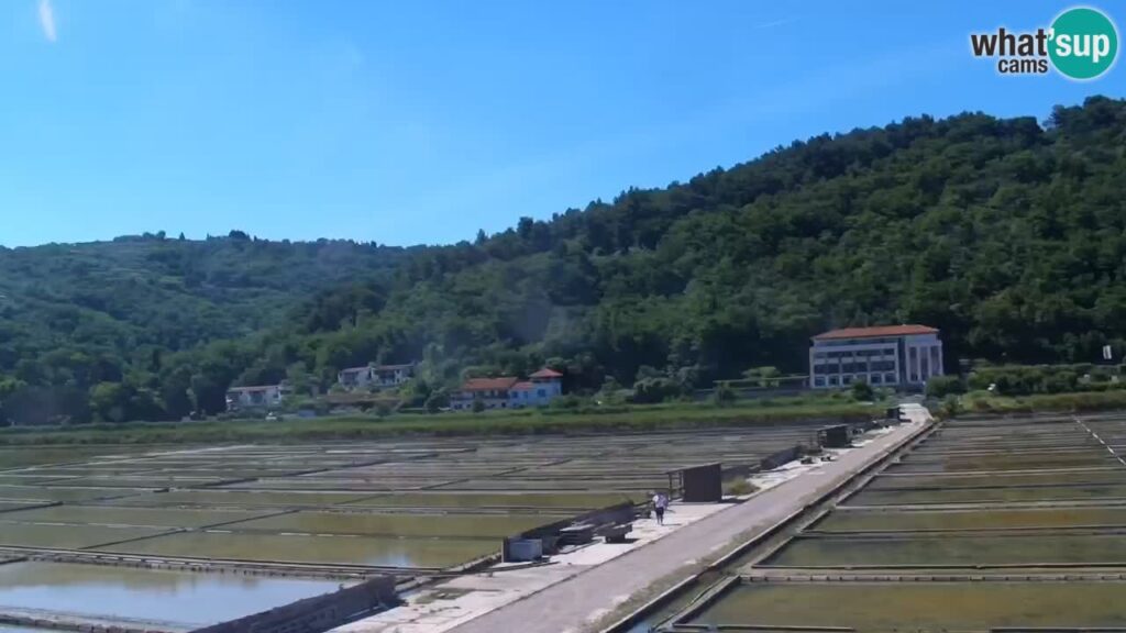 Live Webcam of the Strunjan