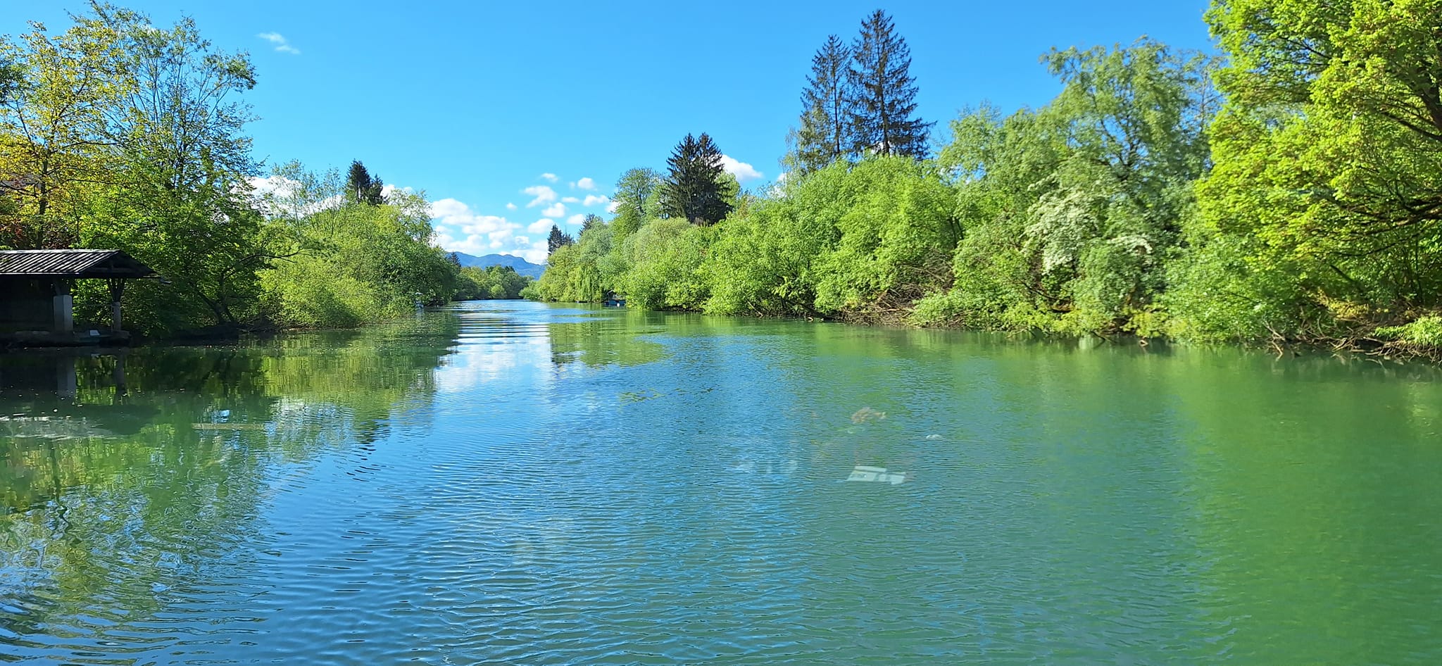 Rent a paddle-board, kayak, canoe and motorboat in Ljubljana - Embark on an unforgettable experience along the Ljubljanica River