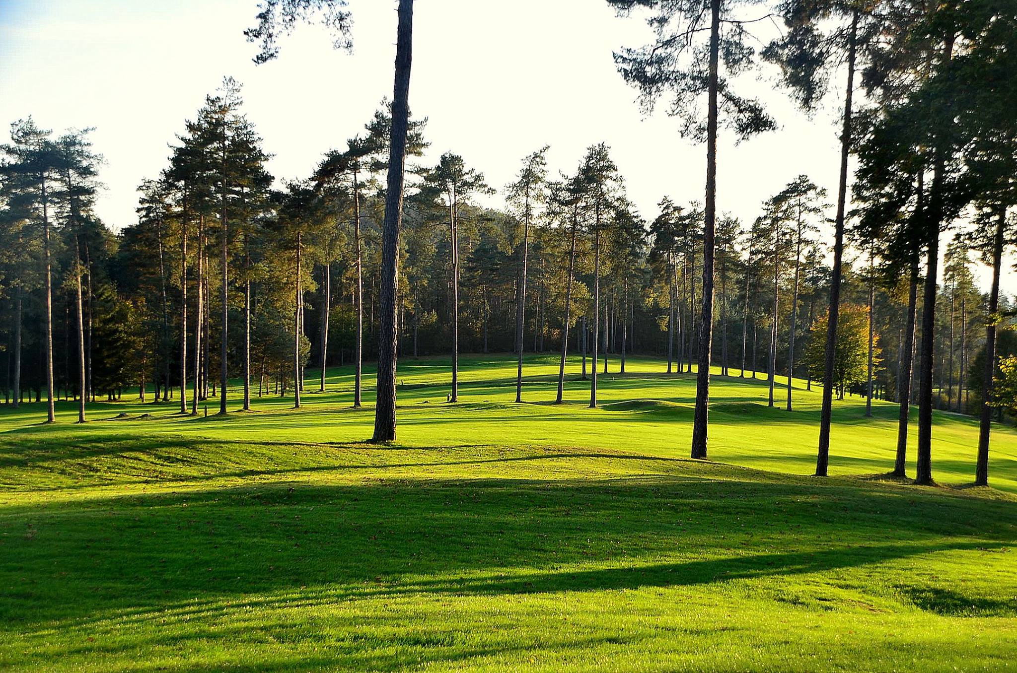 Golf Arboretum near Ljubljana - 18-hole golf course, 20-minute drive from Ljubljana, stunning views