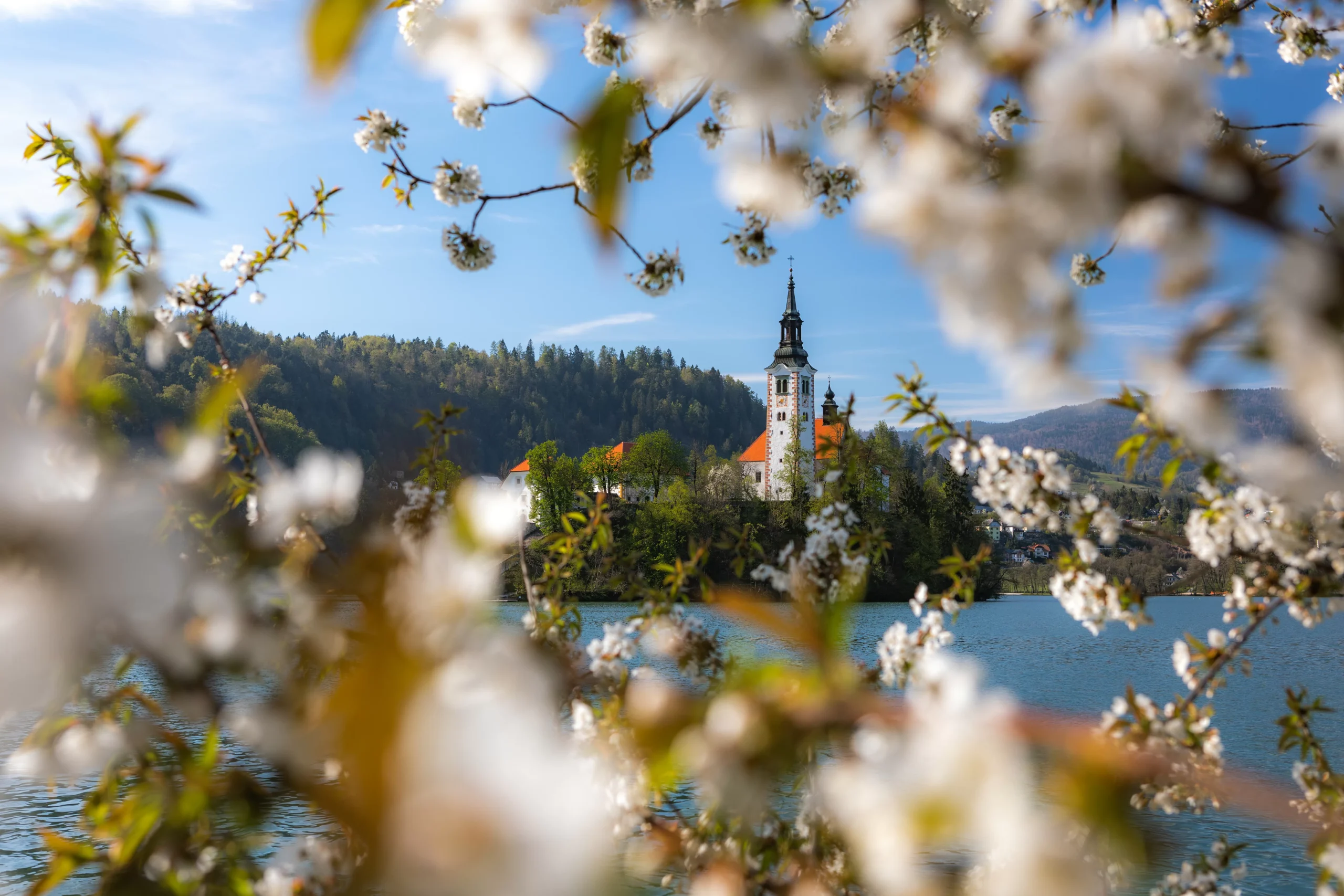 Bled Island in Slovenia - Explore the charming Bled Island in Slovenia, count the stairs and make a wish by pulling the wishing bell.