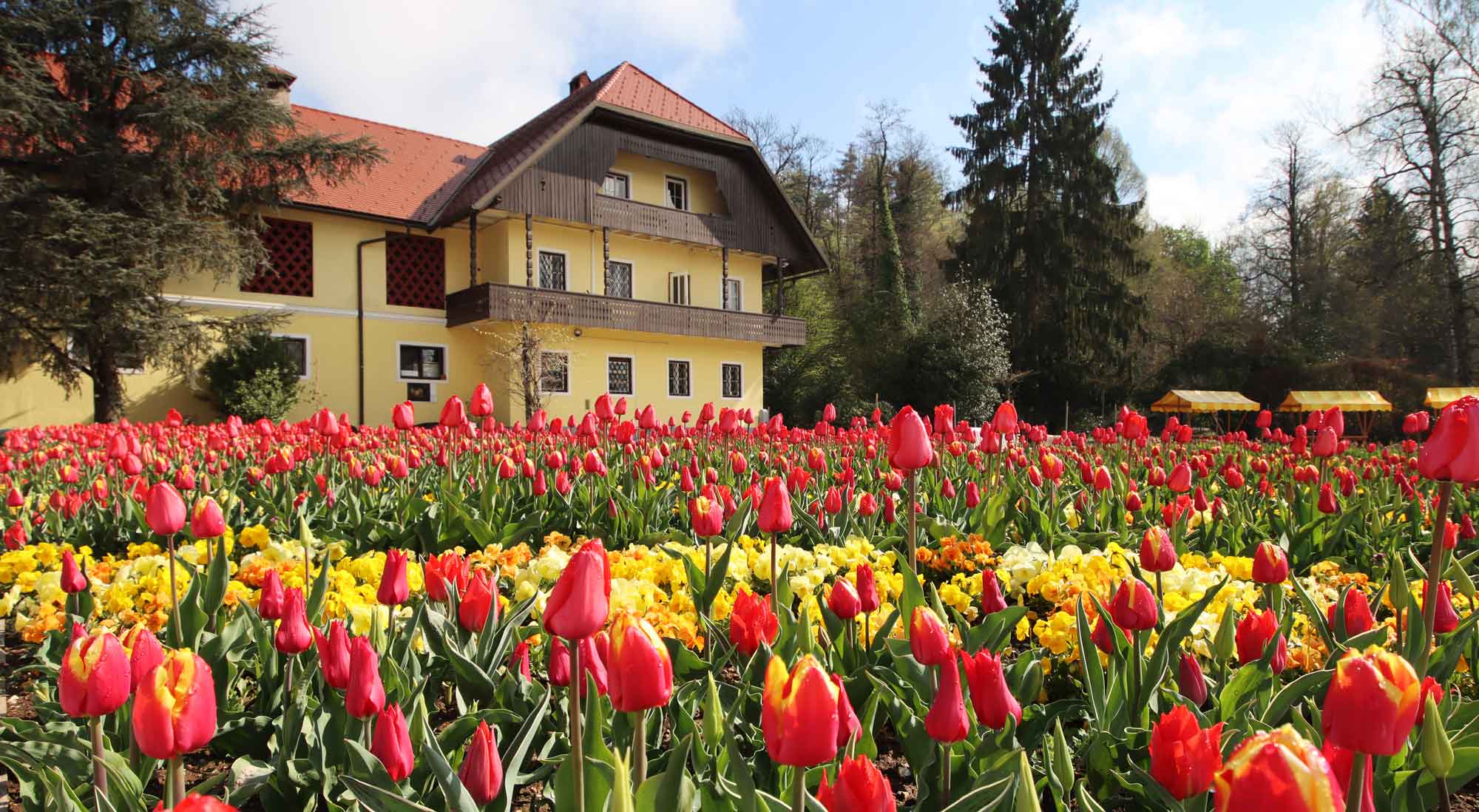 Arboretum Volcji Potok, near Ljubljana in Slovenia - The most visited botanic garden in Slovenia