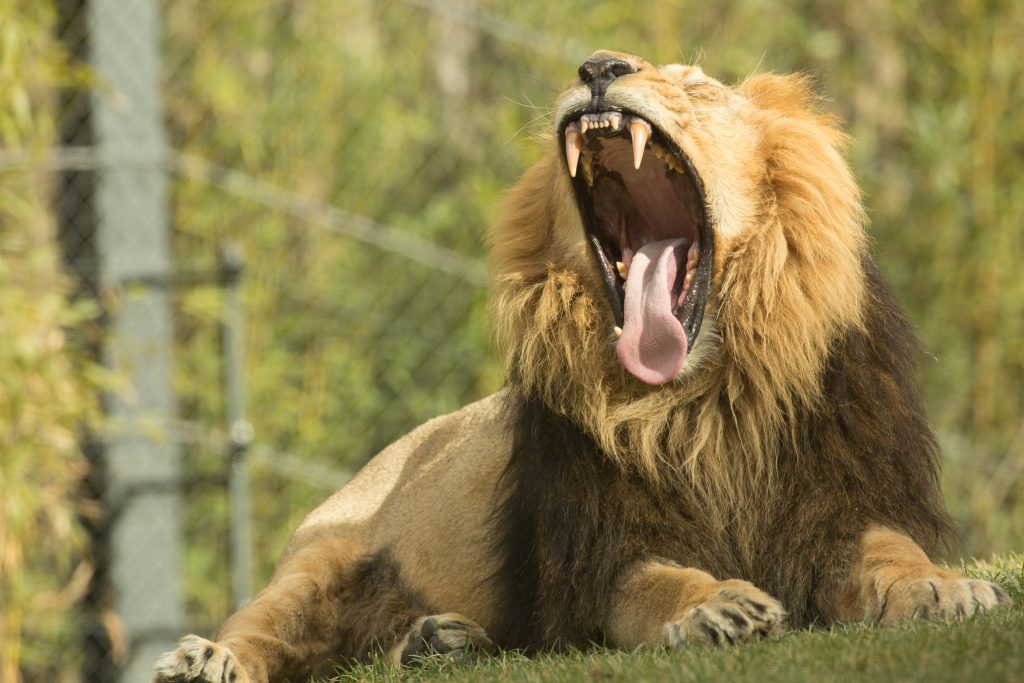 ZOO in Ljubljana Slovenia - Things to do in Slovenia