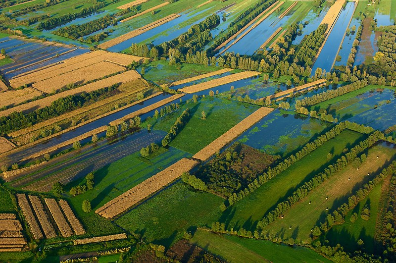 Slovenia nature parks - Ljubljana Marshes Nature Park