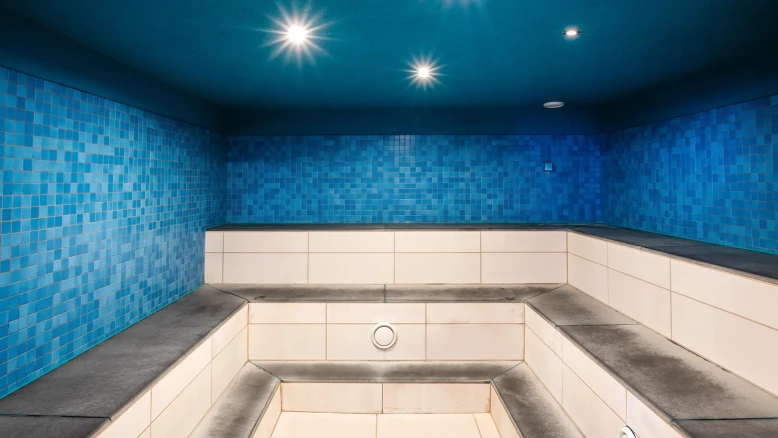 Atlantis Water Park in Ljubljana - SAUNAS