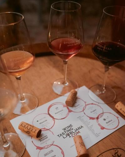 Slovenian Wine Tasting Ljubljana