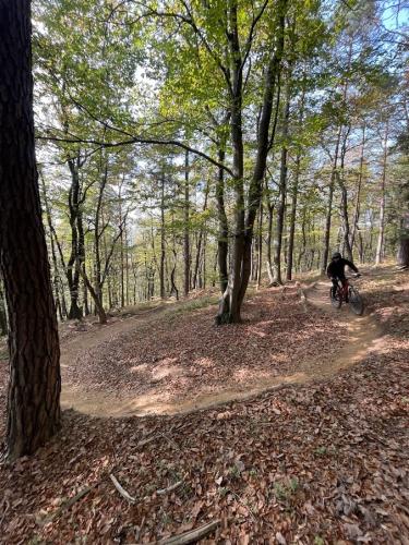 Golovec Trails - Mountain Biking Trails near Ljubljana
