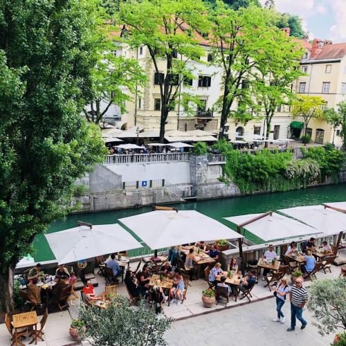 Ljubljanski Dvor Pizzeria - Wood-Fired Pizza