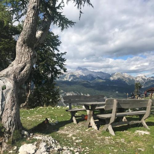 Lake Bohinj by Vogel Cable Car