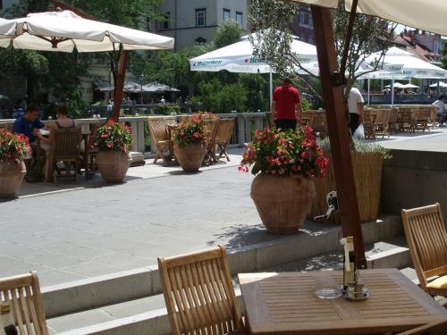 Ljubljanski Dvor Pizzeria - Wood-Fired Pizza