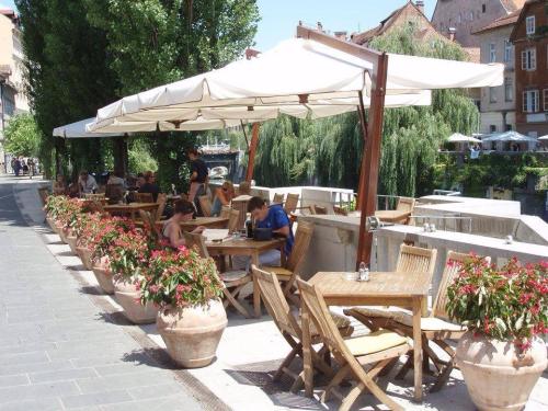 Ljubljanski Dvor Pizzeria - Wood-Fired Pizza