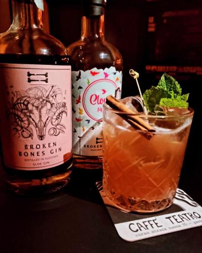 Broken Bones Gin Tasting at Distillery in Ljubljana