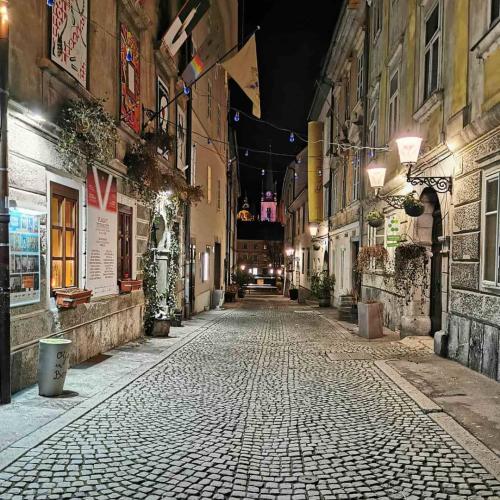 Ljubljana Guided City Tour including Ljubljana Castle